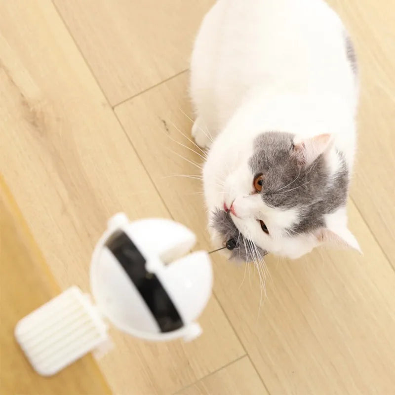 Brinquedo Ioiô Para Gatos - Pêndulo com Bola Interativa